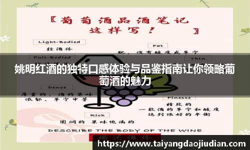 姚明红酒的独特口感体验与品鉴指南让你领略葡萄酒的魅力
